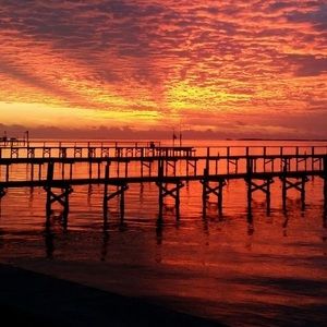 Meet your Posher, Jane